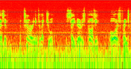 Speech spectrogram